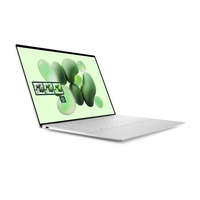 DELL XPS 13 9345 Qualcomm Snapdragon X1E-80-100 Laptop 34 cm (13.4