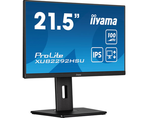 iiyama ProLite XUB2292HSU-B6 computer monitor 55.9 cm (22