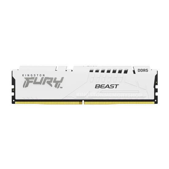 Kingston FURY Beast KF556C36BWE-32 32GB DDR5 5600MT/s White DIMM [EXPO]