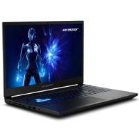 Medion Erazer Deputy P15 NVIDIA RTX 5060 16GB 15.6 FHD 144Hz Intel Core 5 210H Gaming Laptop