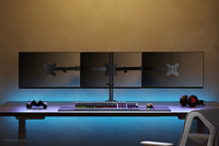 Neomounts monitor arm desk mount