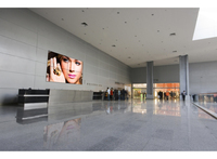 Peerless DS-VW795-QR signage display mount 2.49 m (98