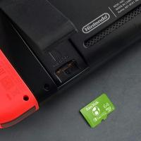 SanDisk Nintendo Switch 64GB microSDXC UHS-I Card