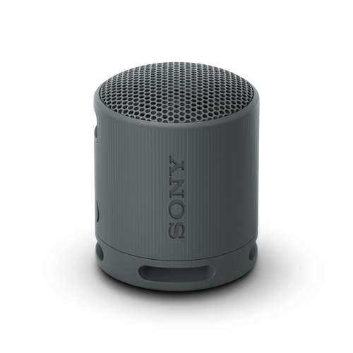 Sony SRS-XB100 - Wireless Bluetooth Portable Speaker, Durable IP67 Waterproof & Dustproof, 16 Hour Battery, Eco, Outdoor and Travel in Black