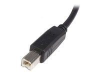 StarTech.com 2m USB 2.0 A to B Cable - M/M